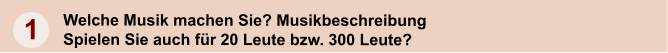 Welche Musik machen Sie? Musikbeschreibung  Spielen Sie auch fr 20 Leute bzw. 300 Leute?  1